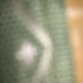양 양